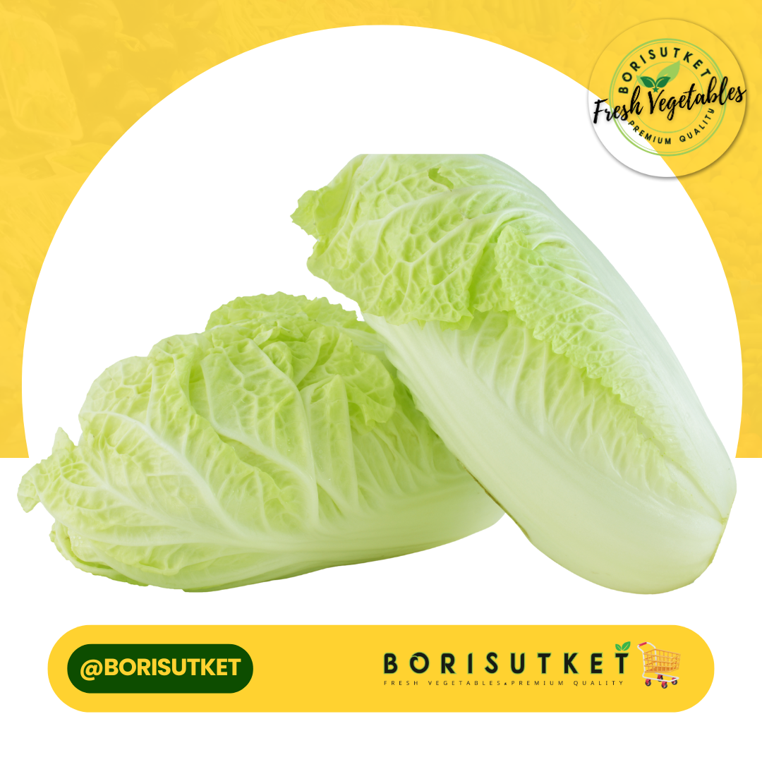 ผักกาดขาว