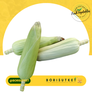 ข้าวโพดดิบ มีเปลือก 1 กก.