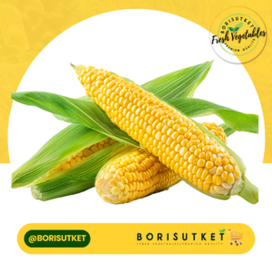 ข้าวโพดดิบ ปอกเปลือก 1 กก.