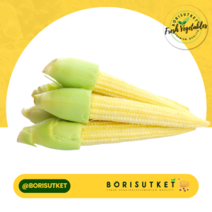 ข้าวโพดอ่อน ติดหมวก 1 กก.