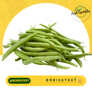 ถั่วแขกขาว 1 กก.